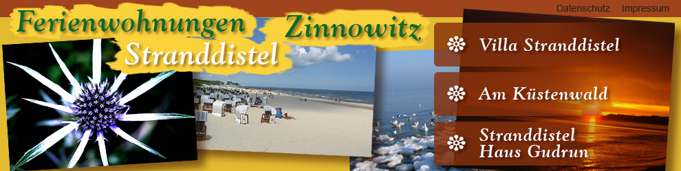 Ferienwohnung, Appartement oder Gästezimmer - es ist für jeden Geschmack etwas dabei. Machen Sie entspannt Urlaub in Zinnowitz auf der Insel Usedom!
